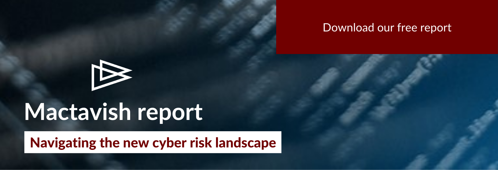 Cyber risk report